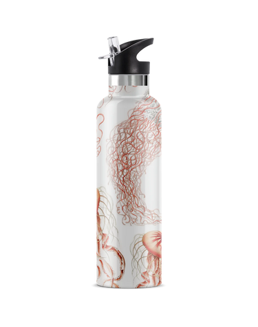 Gelari Insulated Bottle - Time Out Clothing