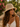 Woman wearing a straw hat and white top in a natural setting with flowers and greenery.