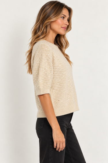 a woman wearing a knit short sleeve seater with gold sequins and black pants on a white background.