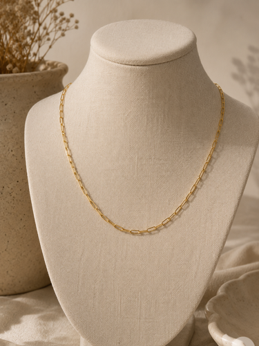 A delicate gold paperclip chain necklace displayed on a cream-colored fabric jewelry bust, with a neutral background and a dried plant in a vase.