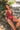 Woman wearing a sienna red textured halter one-piece swimsuit with decorative rings, sitting on stone steps with lush green foliage in the background.