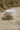 Jar of 'Island Girl' body scrub on sand with natural background