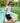 Luca Jersey Bubble Tee - Time Out Clothing