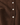 Close-up of a brown knit cardigan or sweater showing the ribbed button placket and four white buttons.