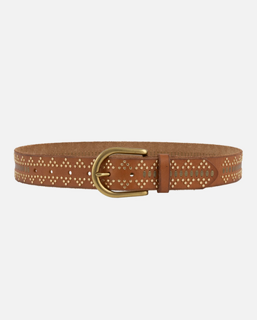 Brown studded belt with gold buckle on a white background