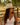 Cypress Safari Fedora