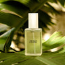 Baja Zen Maui Body Glow Oil - Time Out Clothing