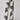 Wide Leg Palm Print Pant - Time Out Clothing